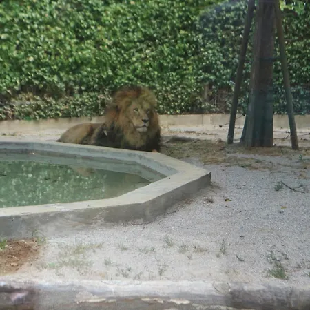 La Torre Sabbiadoro *